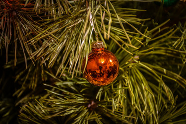 Similar image 21454865