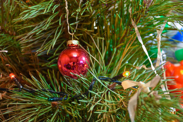 Similar image 21454867