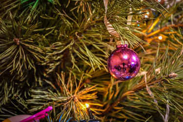 Similar image 21454869