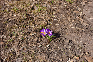 Similar image 21455271