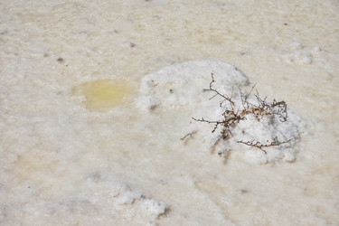 Similar image 21456782