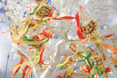 Similar image 21469653