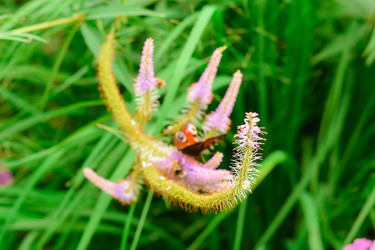 Similar image 21456785