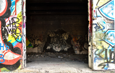 Similar image 21456976