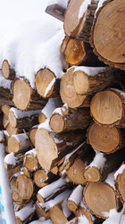 Similar image 21456984