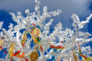 Similar image 21469666