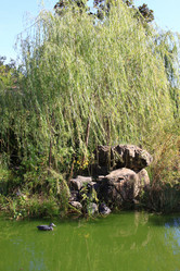 Similar image 21448404