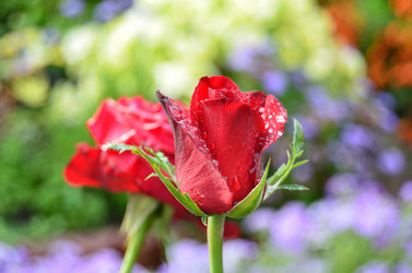 Similar image 21448408