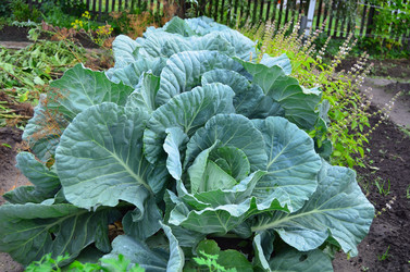 Similar image 21446902