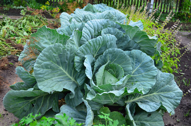 Similar image 21446903