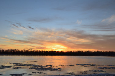 Similar image 21446905