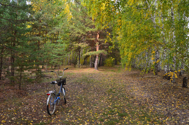 Similar image 21446906