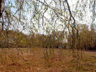 Similar image 21448116