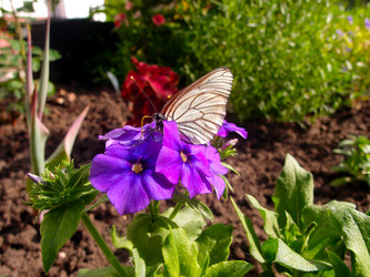 Similar image 21448121