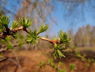 Similar image 21448122