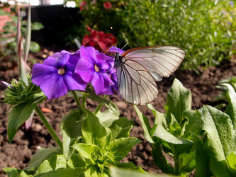 Similar image 21448124