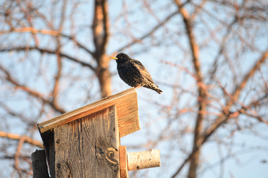 Similar image 21448125