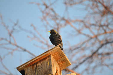 Similar image 21448127