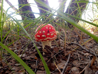 Similar image 21448128