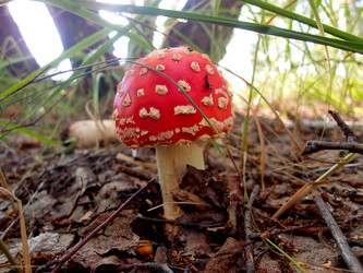 Similar image 21448130