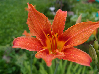 Similar image 21448132