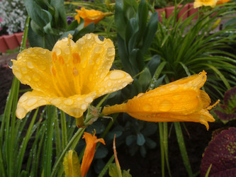 Similar image 21448415