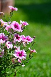 Similar image 21448416