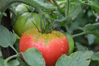 Similar image 21448418