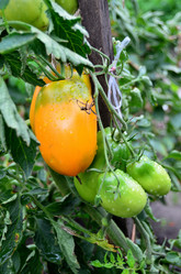 Similar image 21448420