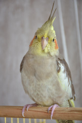 Similar image 21454897