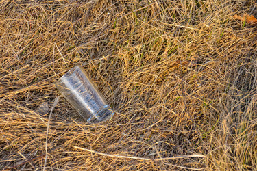 Similar image 21454902