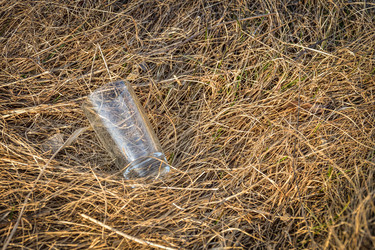 Similar image 21454909