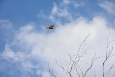 Similar image 21454914