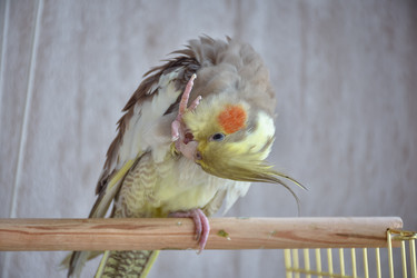 Similar image 21454922