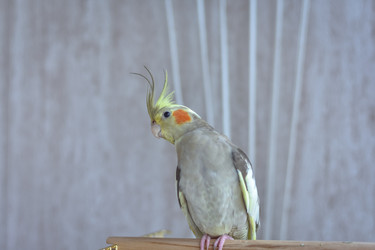 Similar image 21454923