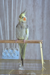 Similar image 21454924