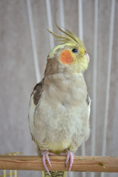 Similar image 21454926