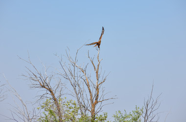 Similar image 21454927