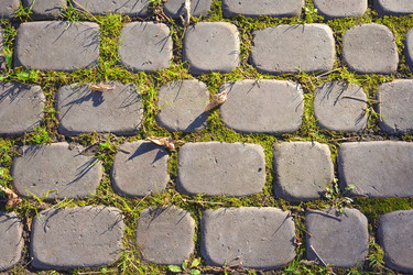 Similar image 21454929