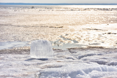 Similar image 21455293