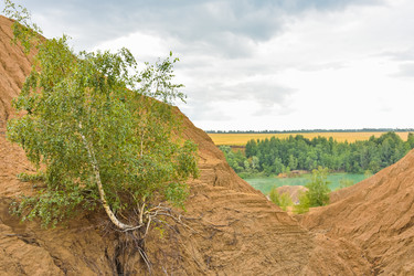 Similar image 21455297