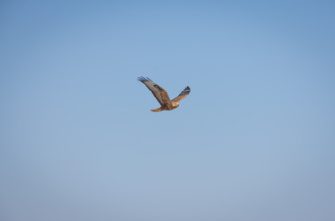 Similar image 21456793