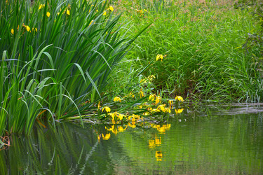 Similar image 21456799