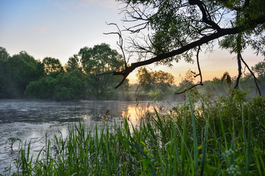 Similar image 21457019