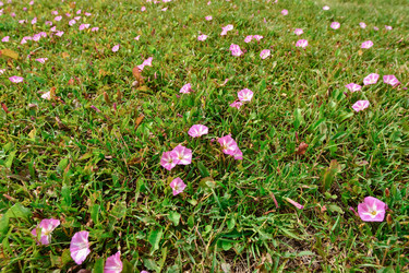 Similar image 21457026