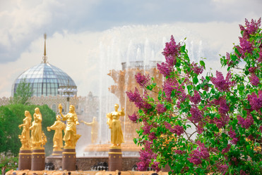 Similar image 21469674