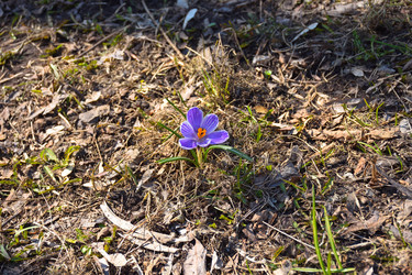 Similar image 21457027