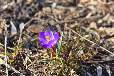 Similar image 21457028