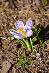 Similar image 21457032