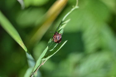 Similar image 21457039